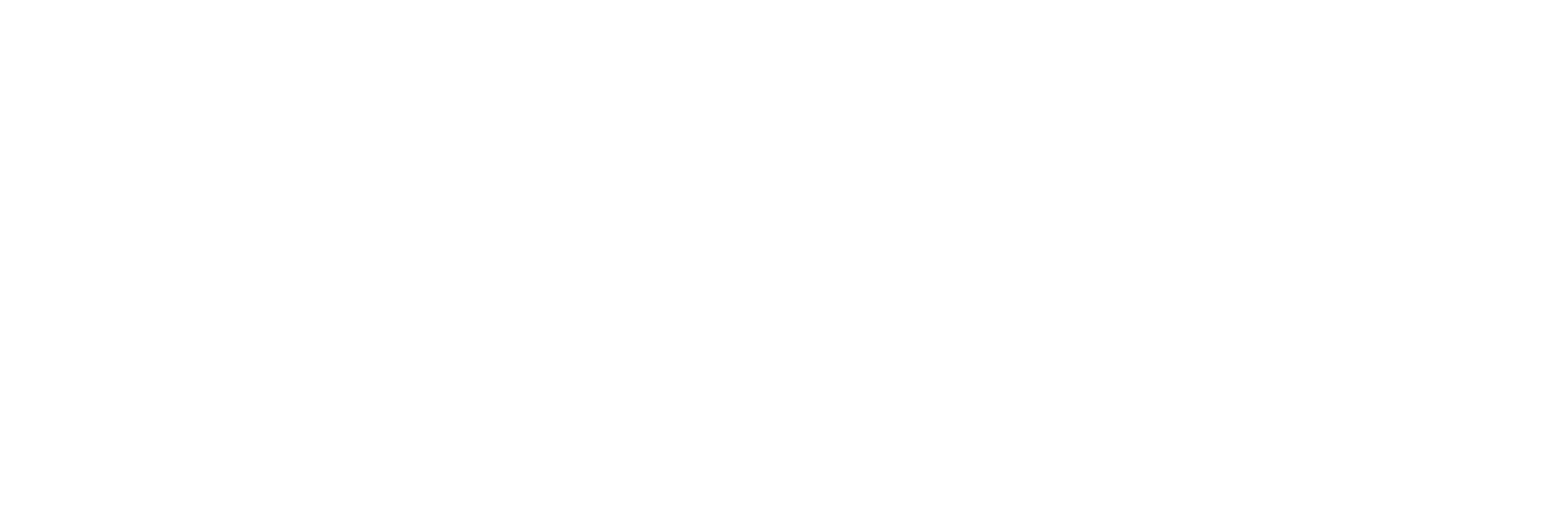 North Capital Markets